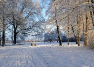 冰雪奇缘，中国冰雪经济的崛起与未来展望