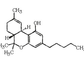 新型药物投放策略，每年两次给药与其影响